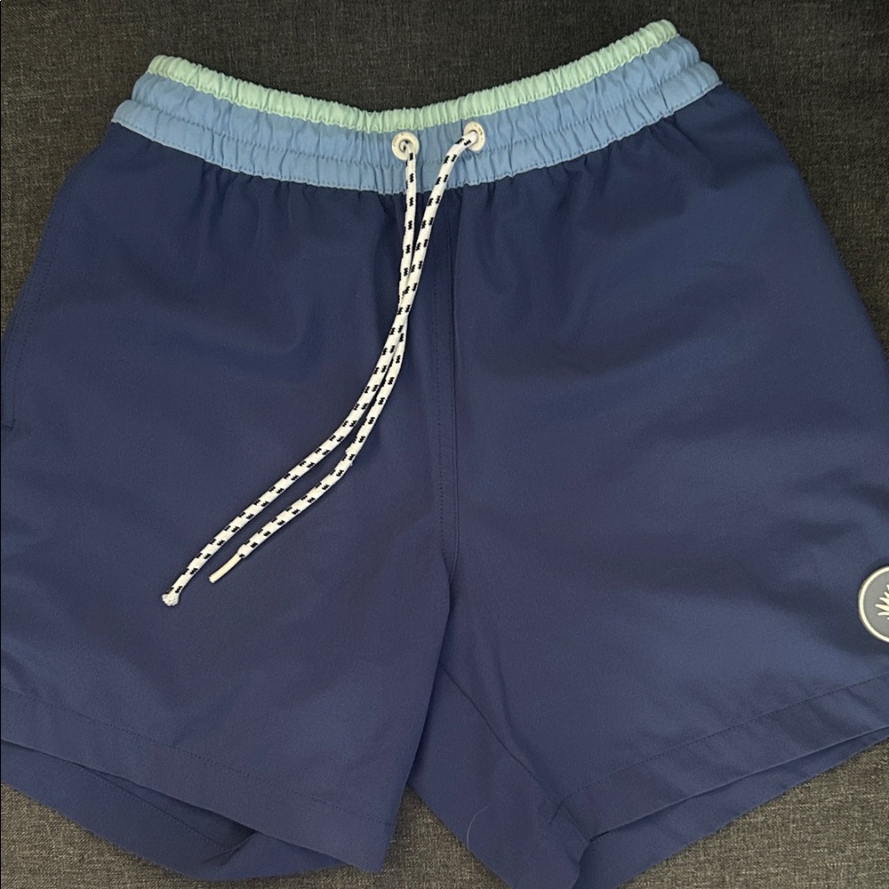 Chubbies Blue and Light Blue Swim Trunks